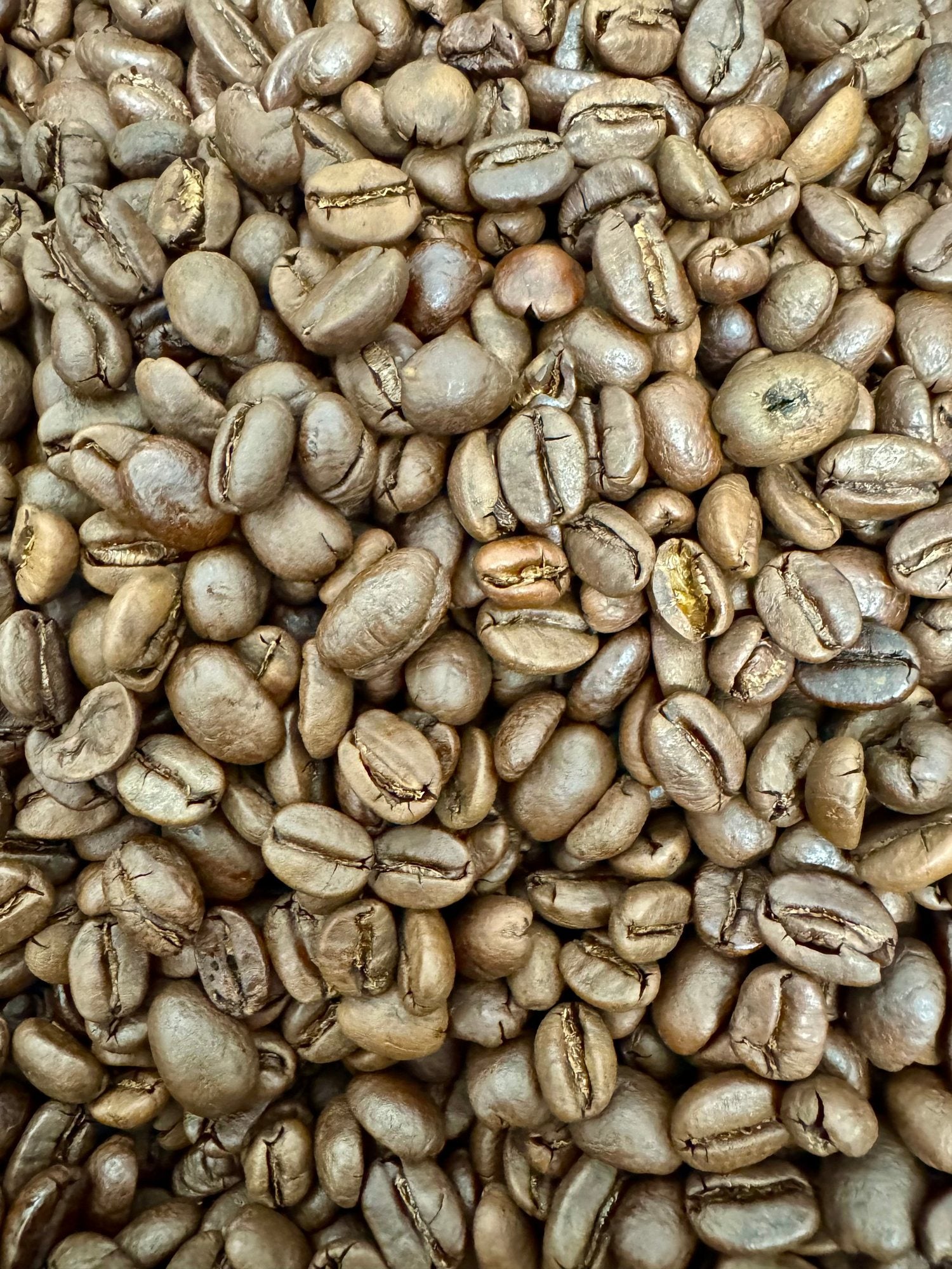 Freshly roasted coffee beans, ground to order in Lancashire